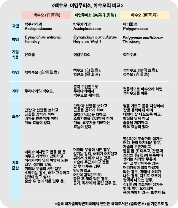 백수오 이엽우피소 하수오 비교 표.png