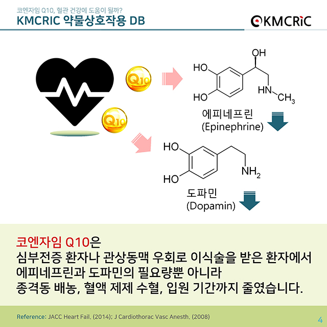 cardnews 약물상호작용 혈관건강- CoQ10-한글_페이지_4.jpg