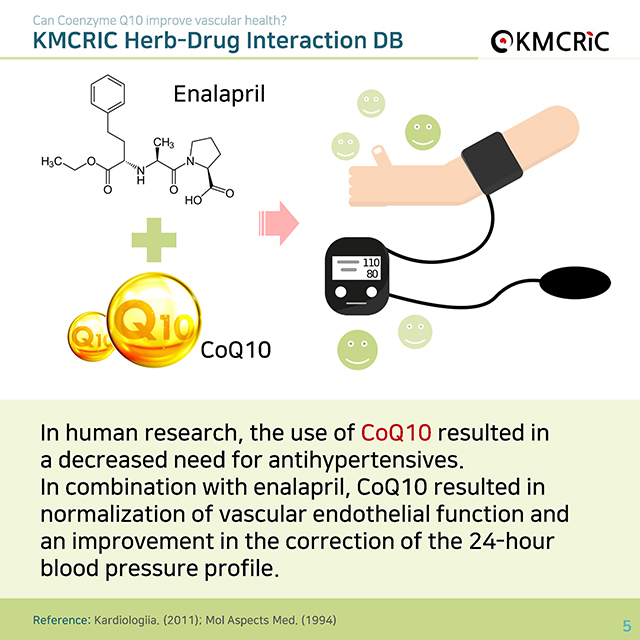 0008 cardnews-약물상호작용 코엔자임 Q10, 혈관 건강에 도움이 될까-영어_1차수정_페이지_5.jpg