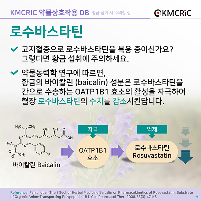 cardnews 약물상호작용 한약재 황금 섭취 시 주의할 점은-한글_페이지_6.jpg