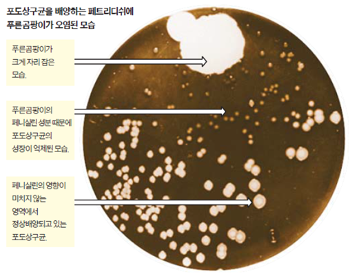 동향분석 1194-img-01.png