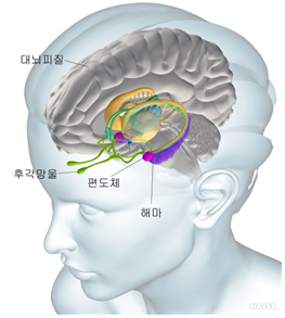 동향분석 1197-img-03.png