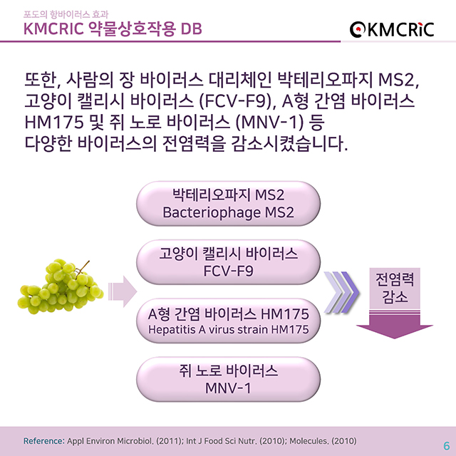 0015 cardnews-약물상호작용 포도의 항바이러스 효과-한글_페이지_6.jpg