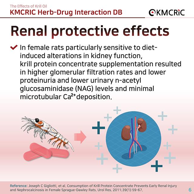 0010 cardnews-약물상호작용 크릴오일의 효과-영어_페이지_6.jpg
