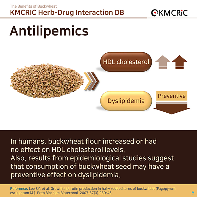 0016 cardnews-약물상호작용 메밀의 효능-영어_페이지_05.jpg