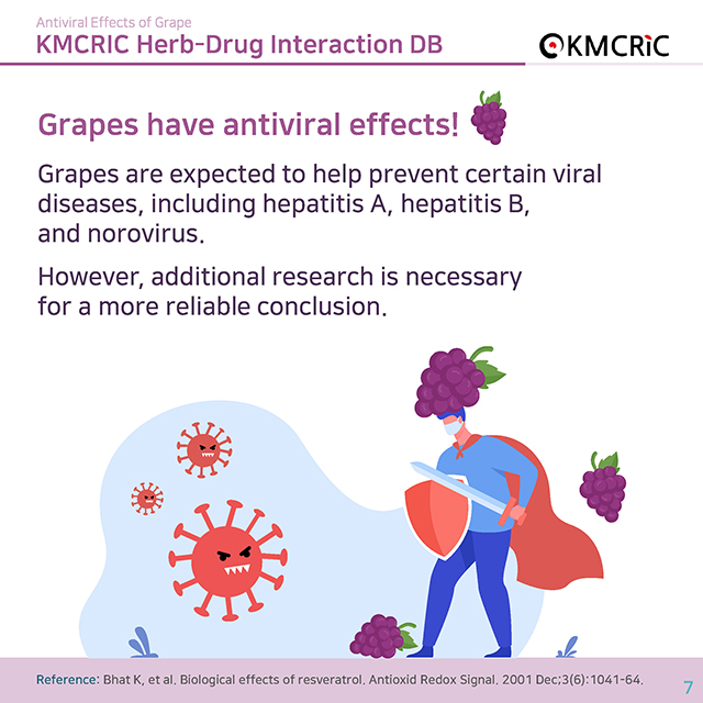 0015 cardnews-약물상호작용 포도의 항바이러스 효과-영어_페이지_7.jpg