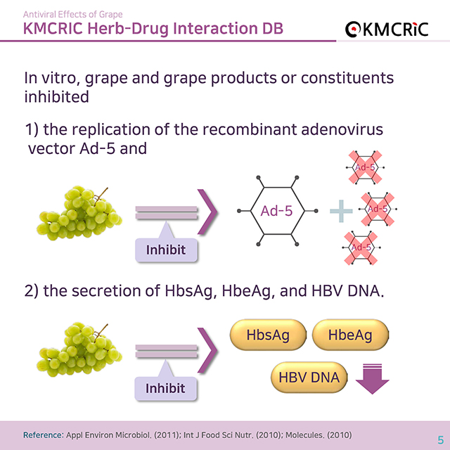 0015 cardnews-약물상호작용 포도의 항바이러스 효과-영어_페이지_5.jpg