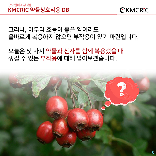 0020 cardnews-약물상호작용 산사 열매의 부작용-한글_페이지_03.jpg