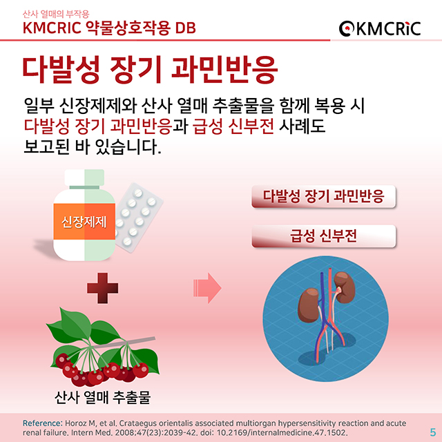 0020 cardnews-약물상호작용 산사 열매의 부작용-한글_페이지_05.jpg