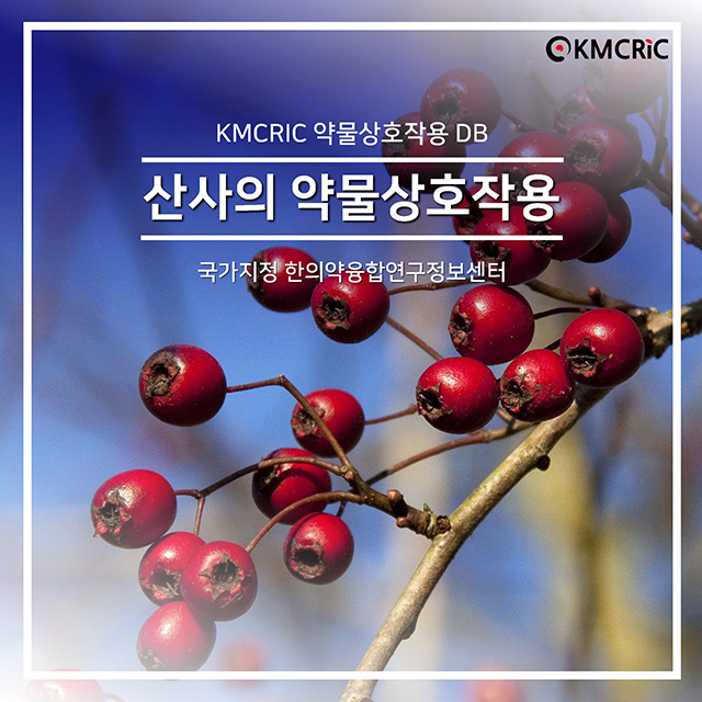 0019 cardnews-약물상호작용 산사의 약물상호작용-한글_페이지_01.jpg