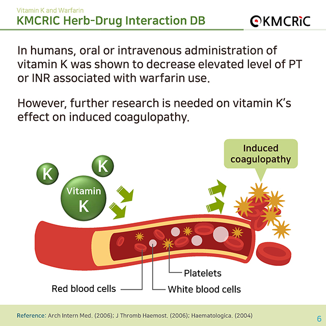 0017 cardnews-약물상호작용 비타민 K와 항응고제-영어_페이지_6.jpg