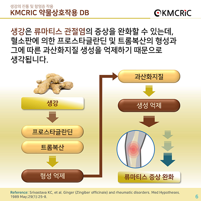 0023 cardnews-약물상호작용 생강의 진통 및 항염증 작용-한글_페이지_06.jpg