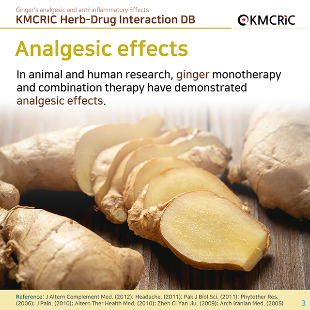 0023 cardnews-약물상호작용 생강의 진통 및 항염증 작용-영어_페이지_03.jpg
