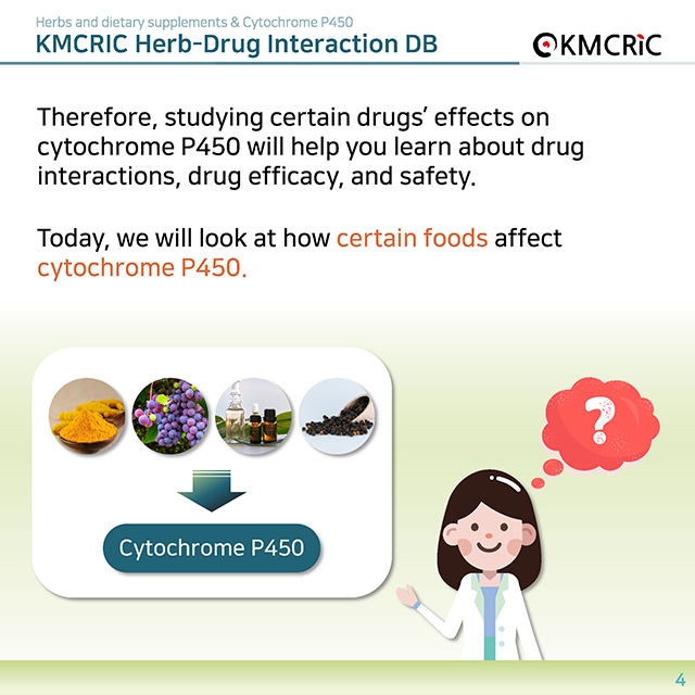 0025 cardnews-약물상호작용 허브 및 식이보충제와 시토크롬 P450-영어_페이지_04.jpg