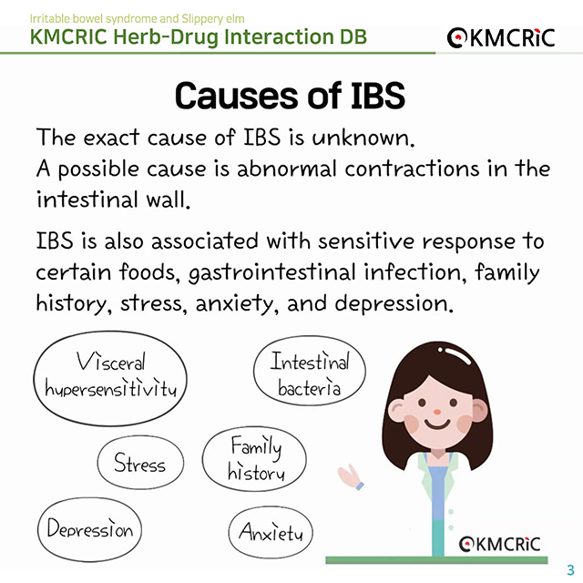 0026 cardnews-약물상호작용 과민성 장 증후군과 유근피-영어_페이지_03.jpg