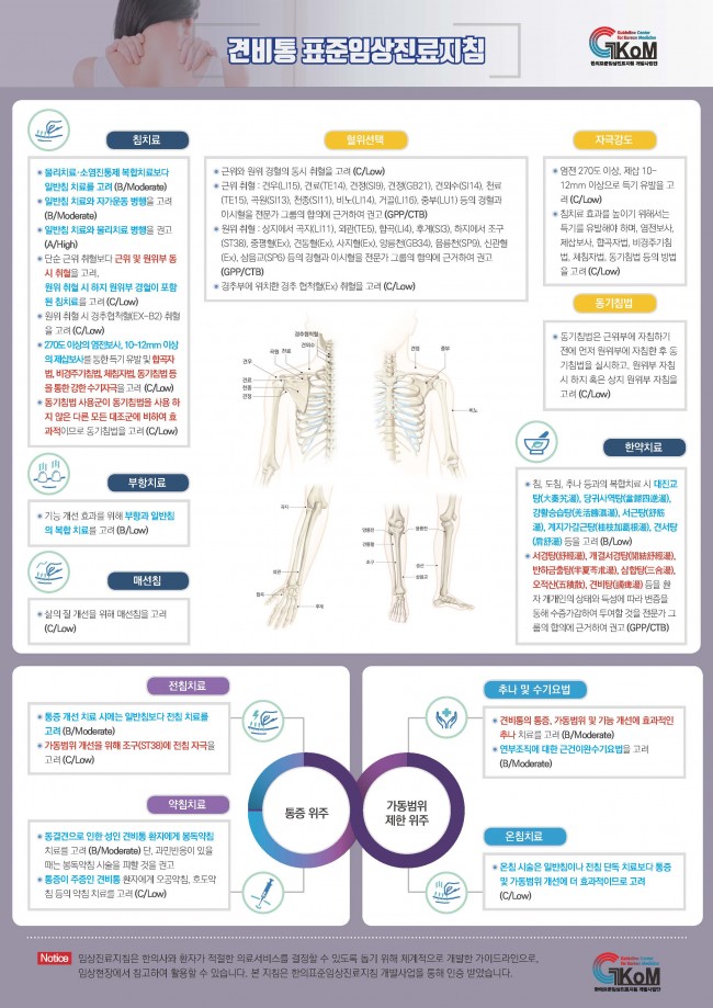 인포그래픽 견비통.jpg