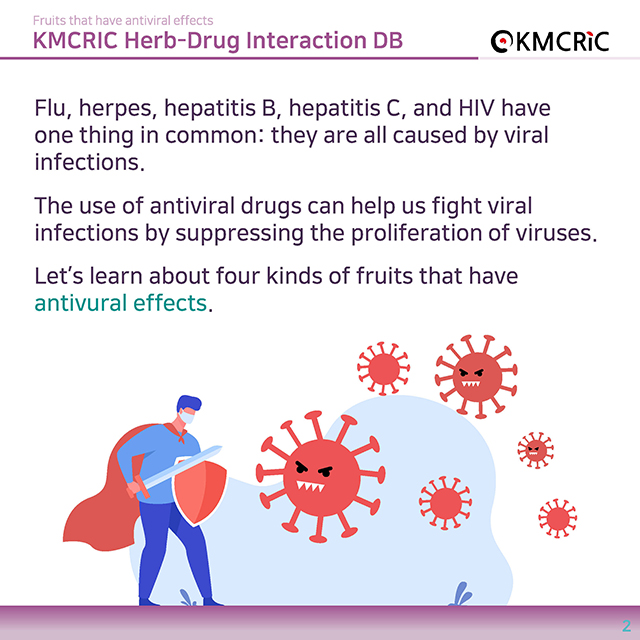 0030 cardnews-약물상호작용 항바이러스 효과가 있는 과일-영어_페이지_2.jpg