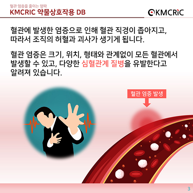 0039 cardnews-약물상호작용 혈관 염증을 줄이는 양파-한글_페이지_03.jpg