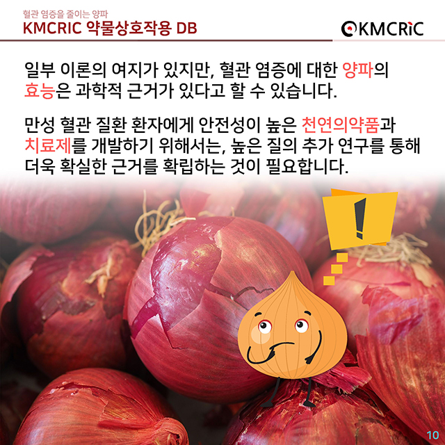 0039 cardnews-약물상호작용 혈관 염증을 줄이는 양파-한글_페이지_10.jpg