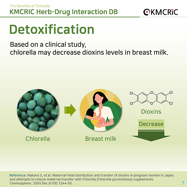 0036 cardnews-약물상호작용 클로렐라의 효능-영어_페이지_07.jpg