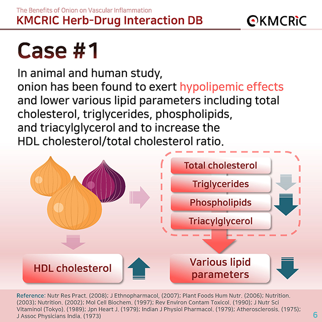 0039 cardnews-약물상호작용 혈관 염증을 줄이는 양파-영어_페이지_06.jpg
