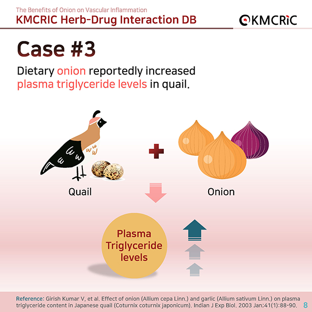 0039 cardnews-약물상호작용 혈관 염증을 줄이는 양파-영어_페이지_08.jpg