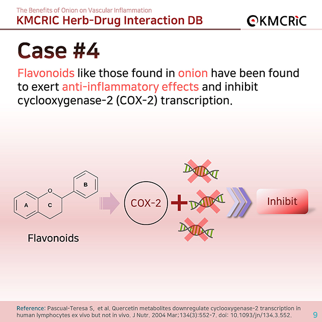 0039 cardnews-약물상호작용 혈관 염증을 줄이는 양파-영어_페이지_09.jpg