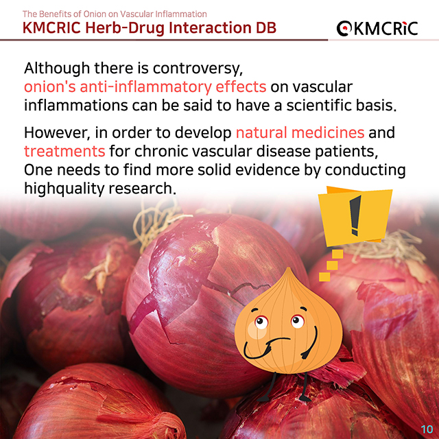 0039 cardnews-약물상호작용 혈관 염증을 줄이는 양파-영어_페이지_10.jpg