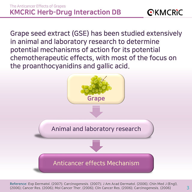 0045 cardnews-약물상호작용 항암 치료에 도움이 되는 포도-영어_페이지_03.jpg