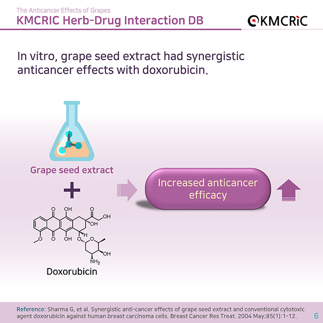 0045 cardnews-약물상호작용 항암 치료에 도움이 되는 포도-영어_페이지_06.jpg