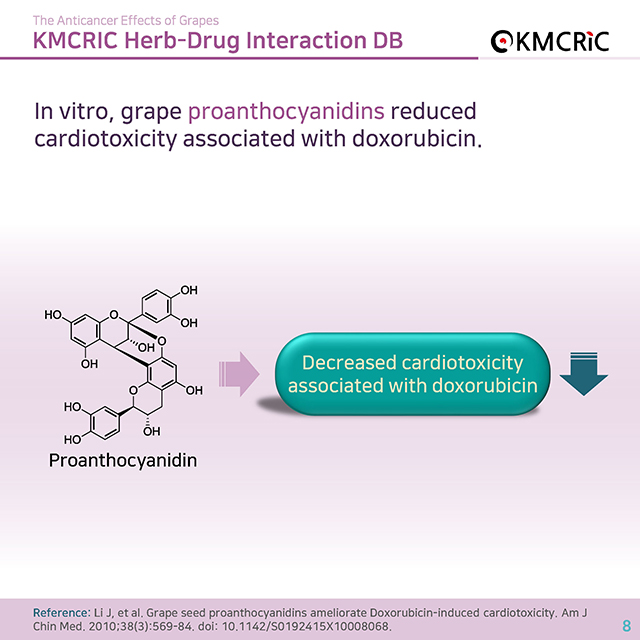 0045 cardnews-약물상호작용 항암 치료에 도움이 되는 포도-영어_페이지_08.jpg