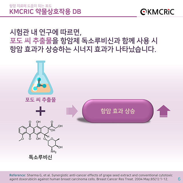 0045 cardnews-약물상호작용 항암 치료에 도움이 되는 포도-한글_페이지_06.jpg