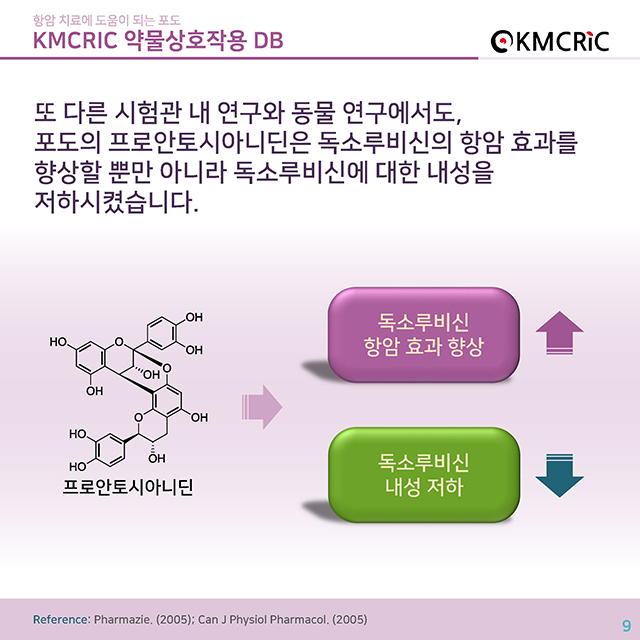 0045 cardnews-약물상호작용 항암 치료에 도움이 되는 포도-한글_페이지_09.jpg