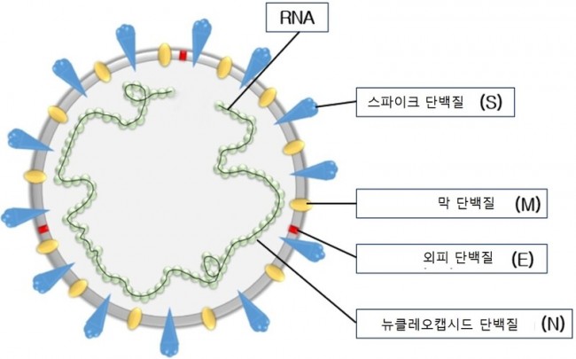 동향분석-[동향]-img-01.jpg