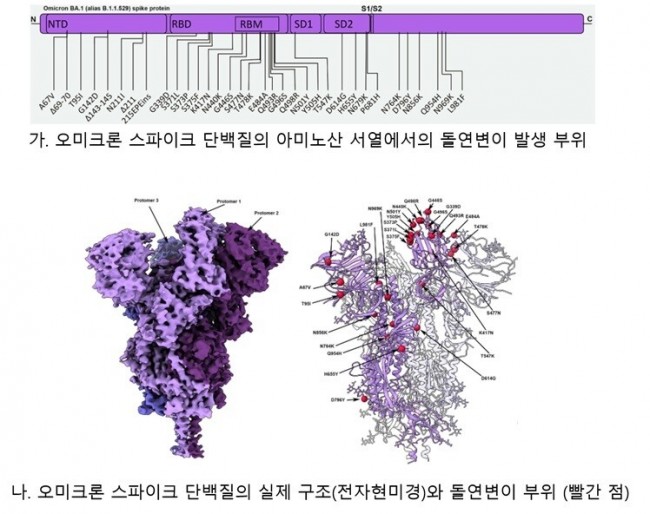 동향분석-[동향]-img-02.jpg