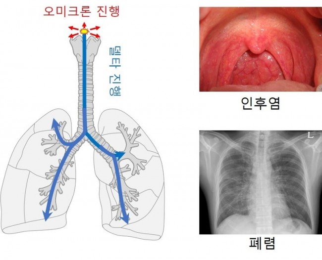 동향분석-[동향]-img-02.jpg