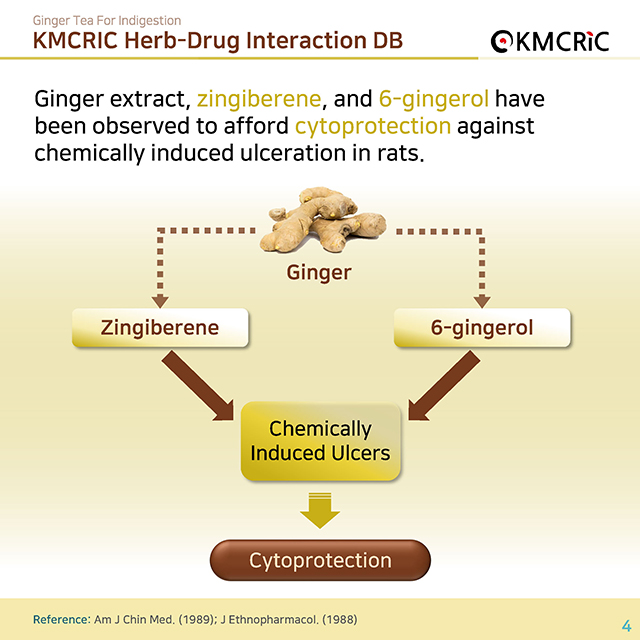 0055 cardnews-약물상호작용 속이 불편할 땐 생강차-영어_페이지_04.jpg