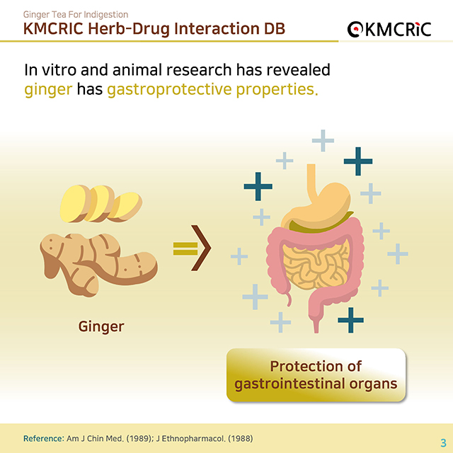 0055 cardnews-약물상호작용 속이 불편할 땐 생강차-영어_페이지_03.jpg