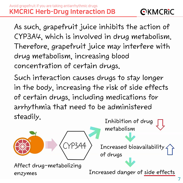 0048 cardnews-약물상호작용 부정맥 치료제 복용 중이라면 자몽은 피하세요-영어_페이지_07.jpg