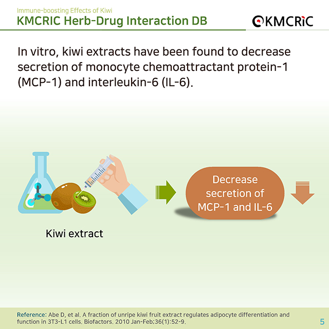 0050 cardnews-약물상호작용면역 건강에 도움을 주는 키위-영어_페이지_5.jpg