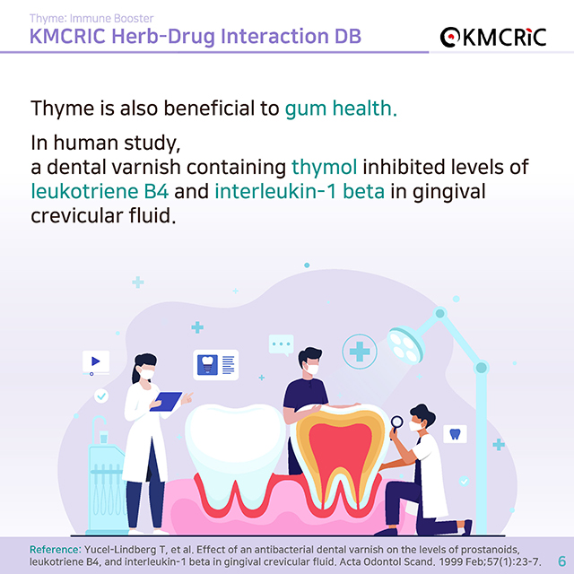 0053 cardnews-약물상호작용 면역력을 높이는 백리향-영어_페이지_6.jpg