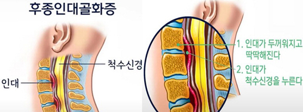 동향분석-[동향]-img-02.jpg