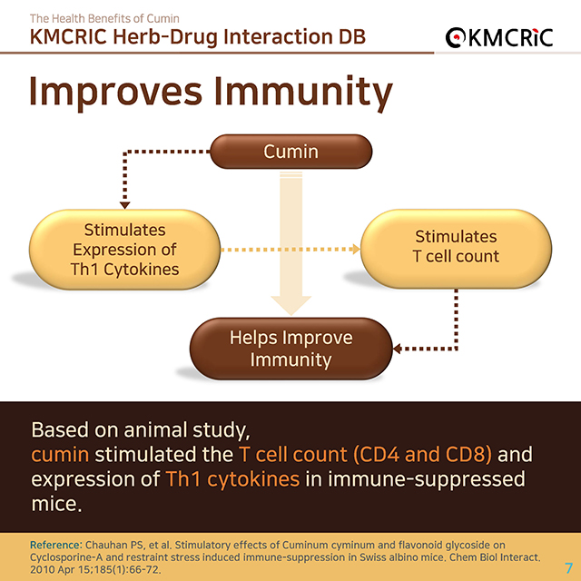 0058 cardnews-약물상호작용 커민 쯔란 양꼬치 향신료의 효능-영어_페이지_07.jpg
