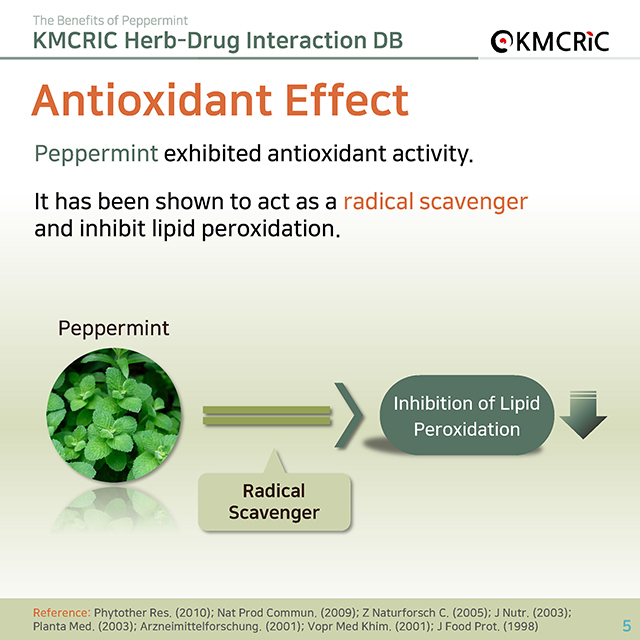 0056 cardnews-약물상호작용 페퍼민트의 효능-영어_페이지_05.jpg