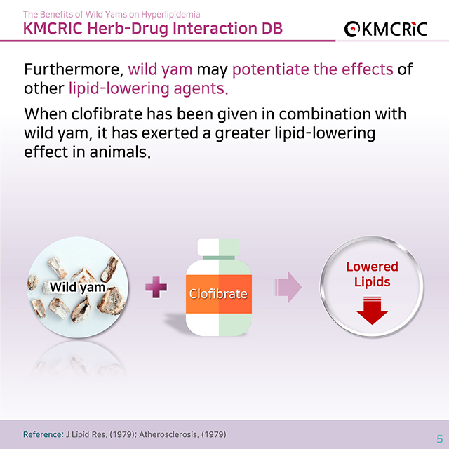 0062 cardnews-약물상호작용 고지혈증에 좋은 참마-영어_페이지_5.jpg