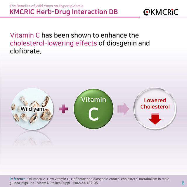 0062 cardnews-약물상호작용 고지혈증에 좋은 참마-영어_페이지_6.jpg