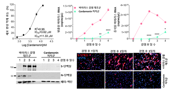 동향분석-[연구]-img-02.png