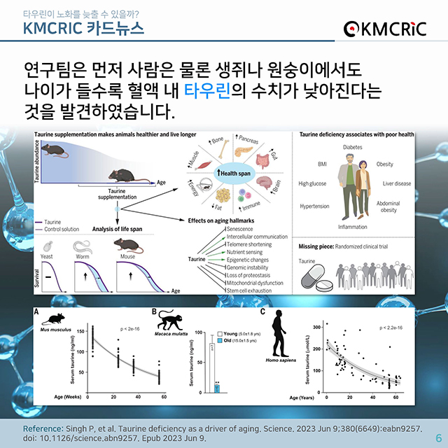 0074 cardnews-타우린이 노화를 늦출 수 있을까-한글_페이지_06.jpg