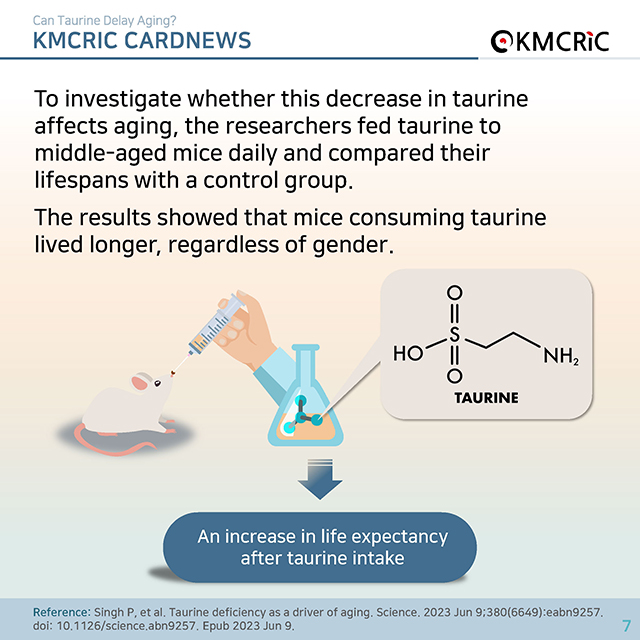 0074 cardnews-타우린이 노화를 늦출 수 있을까-영어_페이지_07.jpg