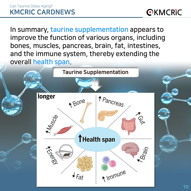 0074 cardnews-타우린이 노화를 늦출 수 있을까-영어_페이지_10.jpg
